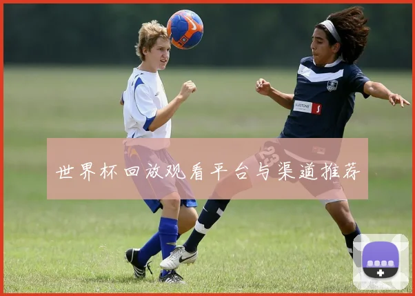 世界杯回放观看平台与渠道推荐