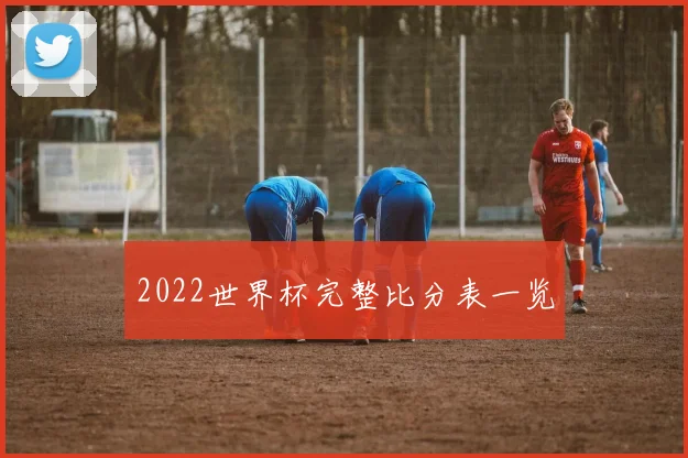 2022世界杯完整比分表一览