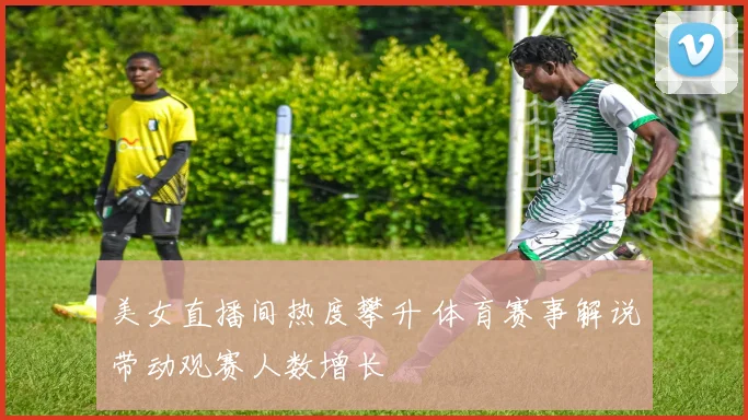 美女直播间热度攀升 体育赛事解说带动观赛人数增长