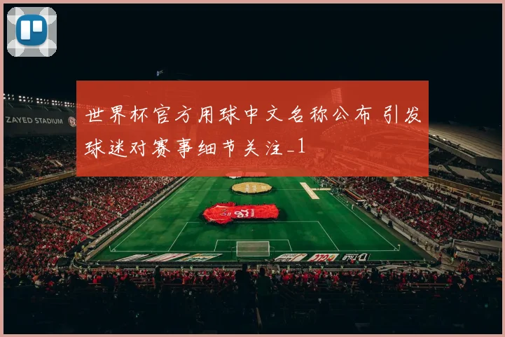 世界杯官方用球中文名称公布 引发球迷对赛事细节关注_1