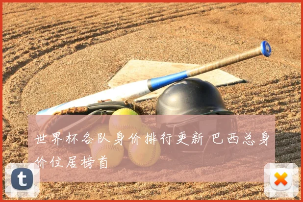 世界杯各队身价排行更新 巴西总身价位居榜首