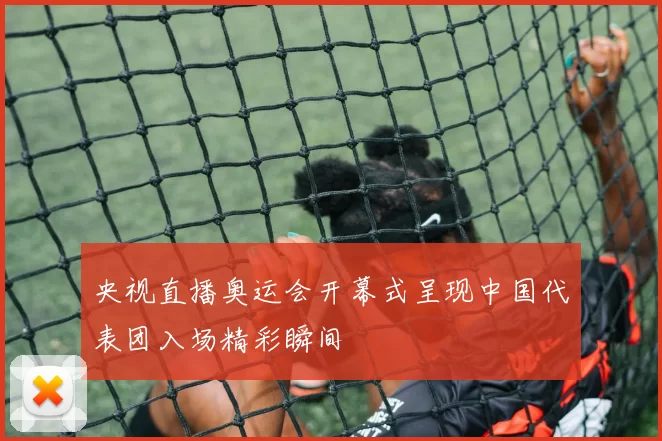 央视直播奥运会开幕式呈现中国代表团入场精彩瞬间