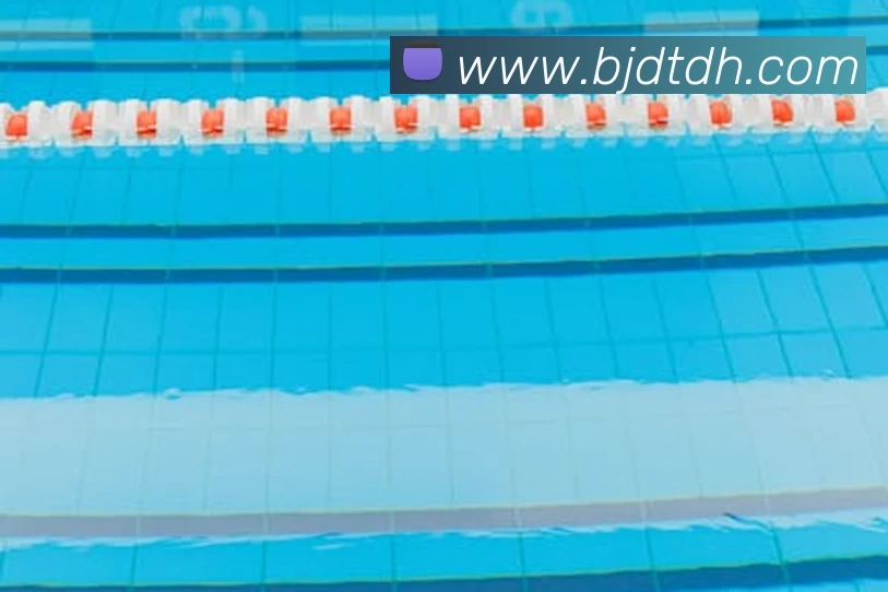 App Interface Preview